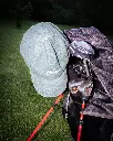 _DSF2195.webp