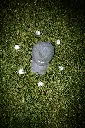 Gorra Verde Vintage - 100% Algodón